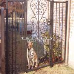 Exterior Iron Gate #29