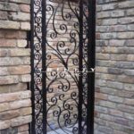 Exterior Iron Gate #46